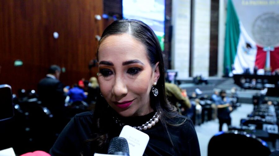 Comité de evaluación para definir candidatos del Poder Judicial debe ser plural: Noemí Luna