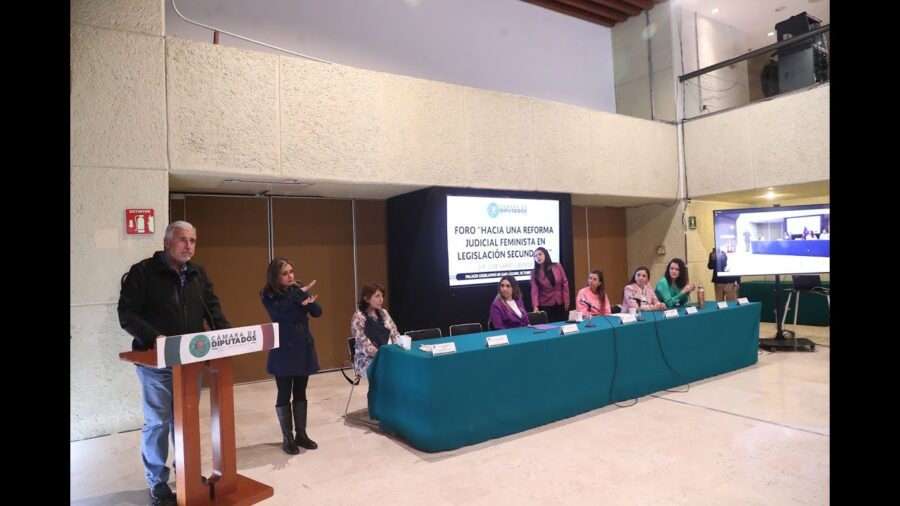 Urgen diputadas y diputados e integrantes de organizaciones de la sociedad civil a impulsar perspectiva de género en legislación secundaria en materia judicial