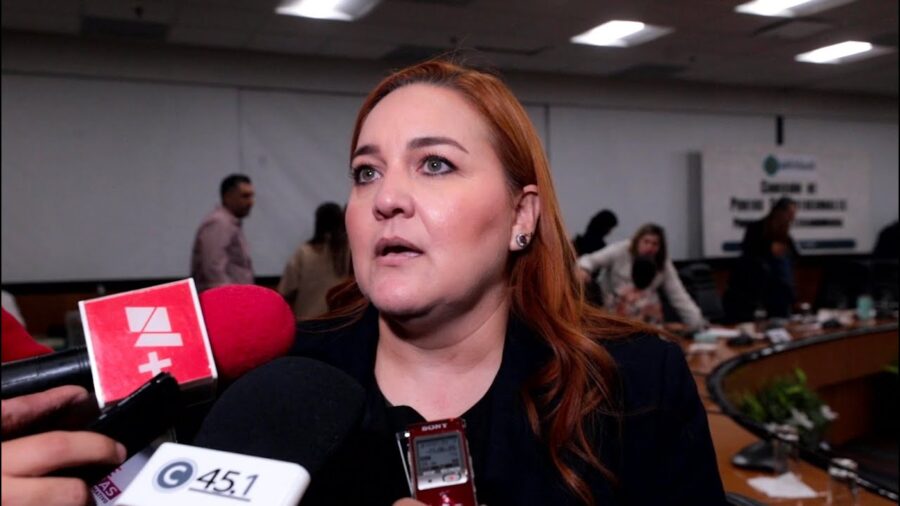 Minuta en materia de inimpugnabilidad de reformas constitucionales es “peligrosa”, y hay desaseo es su proceso legislativo: Annia Gómez