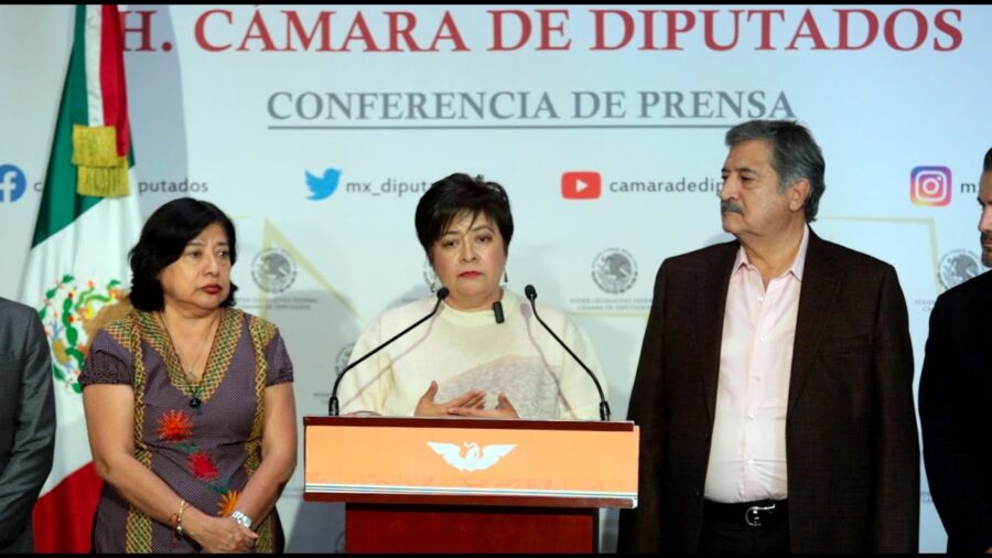 Laura Hernández propone dar al Conapred nuevas facultades de investigación y sanción para proteger a víctimas de actos discriminatorios