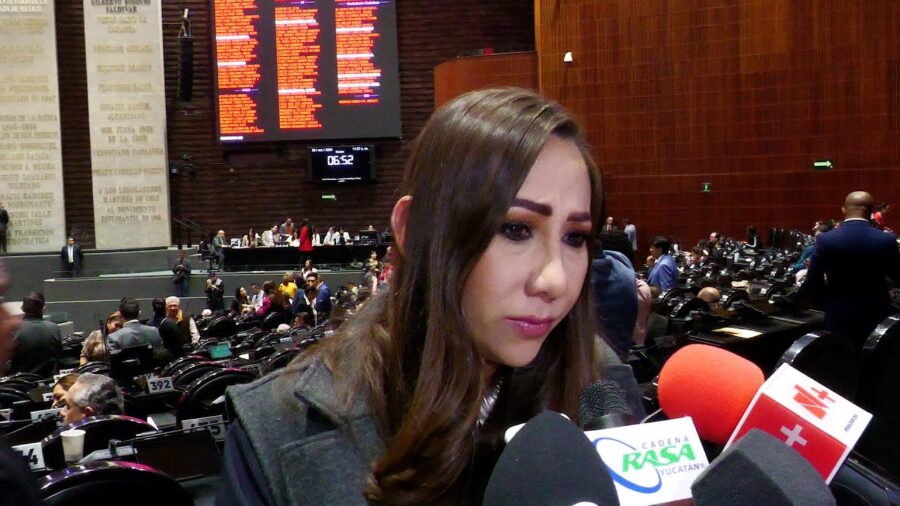 Morena tienen miedo de que proyecto de sentencia de ministro se apruebe antes que minuta en materia de inimpugnabilidad: Noemí Luna