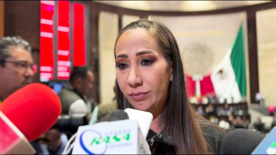 Es un retroceso que la SCJN desestimará acciones de inconstitucionalidad presentadas por el PAN, PRI y MC en contra de la reforma judicial: Noemí Luna