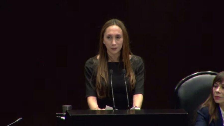 Propone Nayeli Fernández garantizar seguro de gastos mayores para personas de la tercera edad