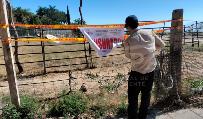 Profepa impone clausura parcial temporal a predio por relleno de escombros cercano al Lago de Chapala