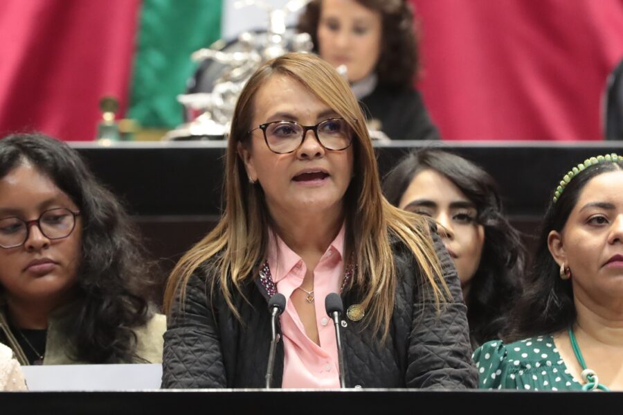 Institucionalizar los cuidados contribuiría a una participación más equitativa en el ámbito laboral: Gabriela Valdepeñas