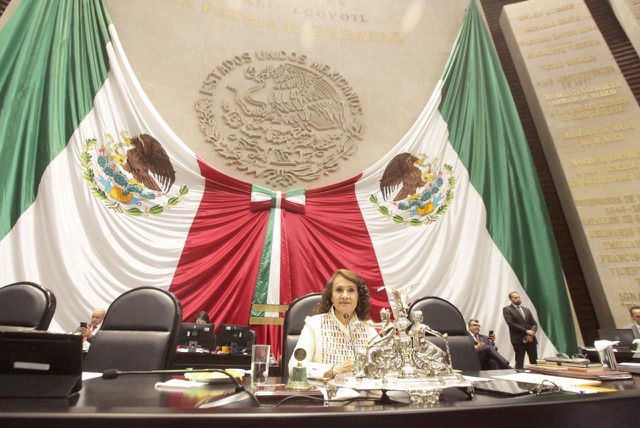 Reforma constitucional de protección y cuidado animal generará mejores condiciones de vida hacia estos seres sintientes: Dolores Padierna