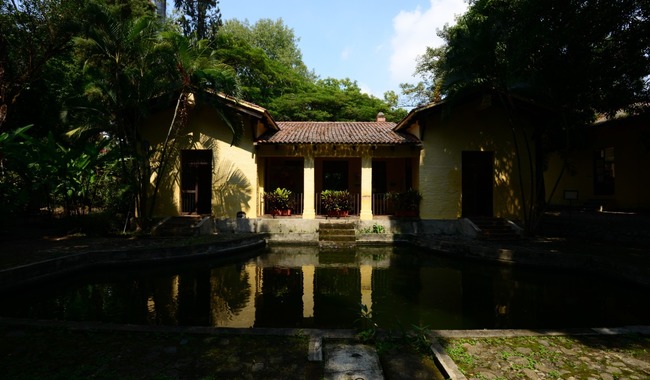 El Jardín Etnobotánico del Centro INAH Morelos enriquece su paleta vegetal con la construcción de un humedal