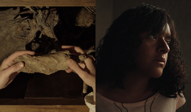 El CCC presente en la Sexta Edición del Festival José Rovirosa de Documental en Línea