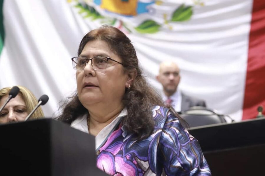 La diputada Rosario Orozco Caballero, de Morena, propone sustituir el término “Presidente de la República” por “persona Titular del Poder Ejecutivo Federal”