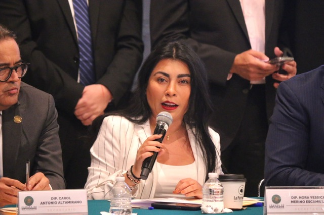 Comisión de Vigilancia de la ASF vela por el buen manejo de los recursos: Nora Merino