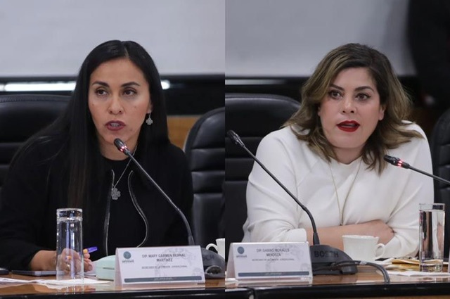 Fundamental, dar estricto acompañamiento a los trabajos de la Comisión Jurisdiccional