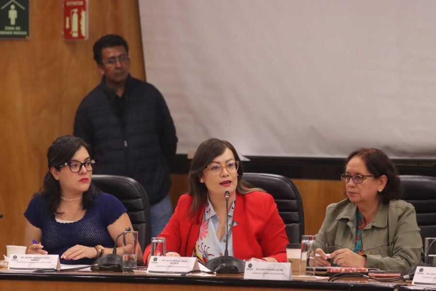 Reforma de igualdad sustantiva es una lucha histórica de las mujeres: Julieta Vences