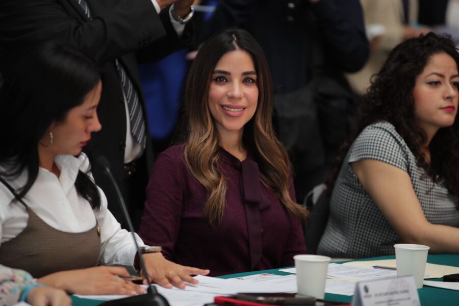 Fundamental, asegurar protección y bienestar integral de las y los menores en México: Diana Karina Barreras