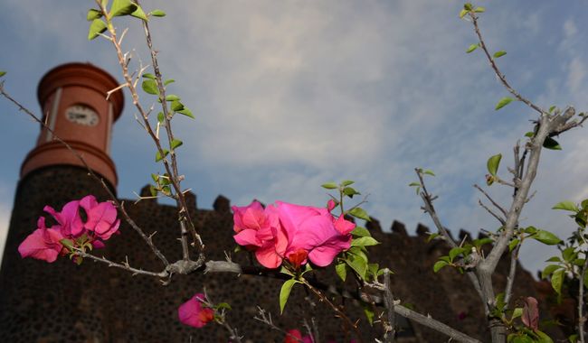 Especialistas del Centro INAH Morelos impartirán diplomado de formación de cronistas