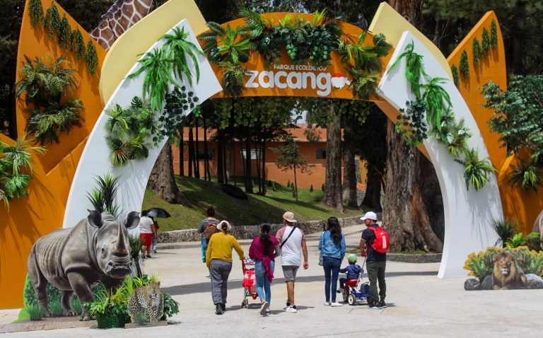 Aventúrate en el Parque Ecológico Zacango en esta Semana Santa, convive capibaras, lémur, jirafas y rinocerontes