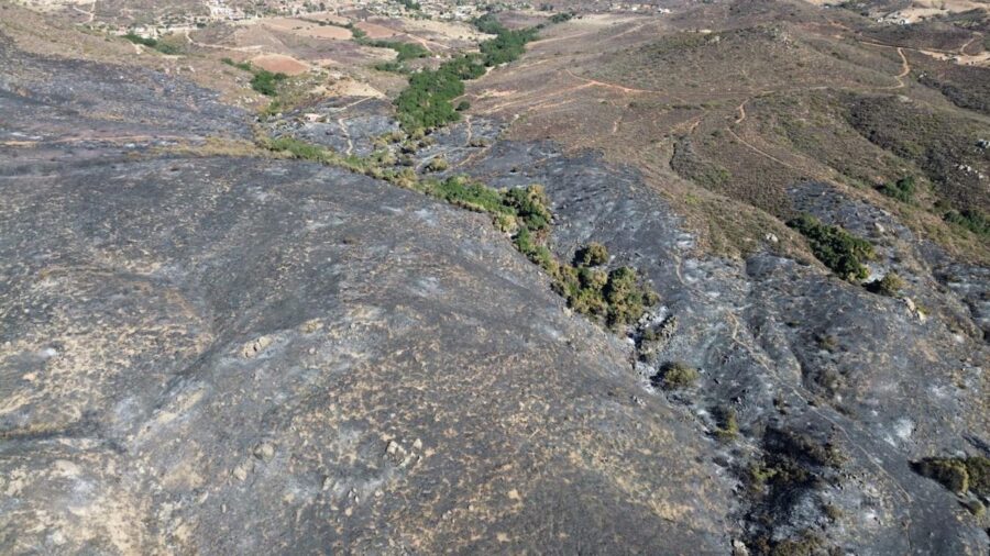 Nota Informativa: Incendios forestales “Ensenada” en Baja California