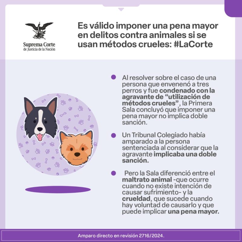 #LaCorte declaró que es constitucional imponer una pena mayor en delitos contra animales si se usan métodos crueles.