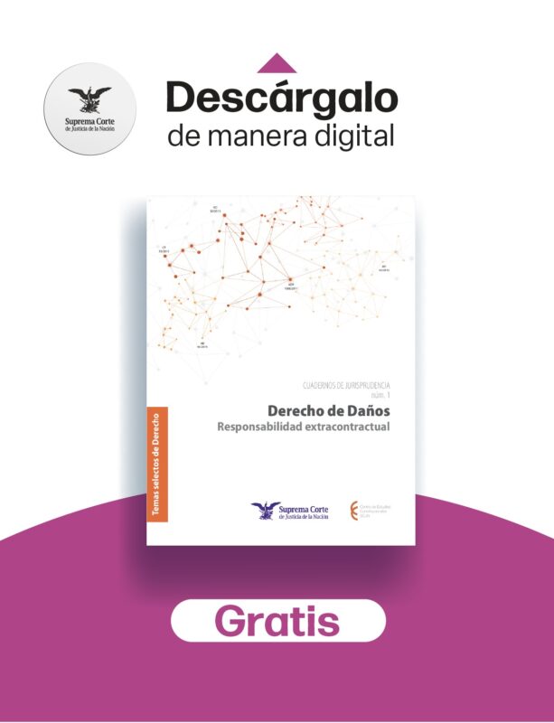 ¿A quién se puede demandar? ¿Quién puede pedir la reparación? Conoce este Cuaderno de Jurisprudencia del Centro de Estudios Constitucionales  sobre la responsabilidad extracontractual.