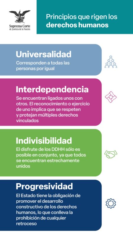 La aplicación de los derechos humanos a la que se encuentran obligadas todas las autoridades se rige por los principios de universalidad, interdependencia, indivisibilidad y progresividad.