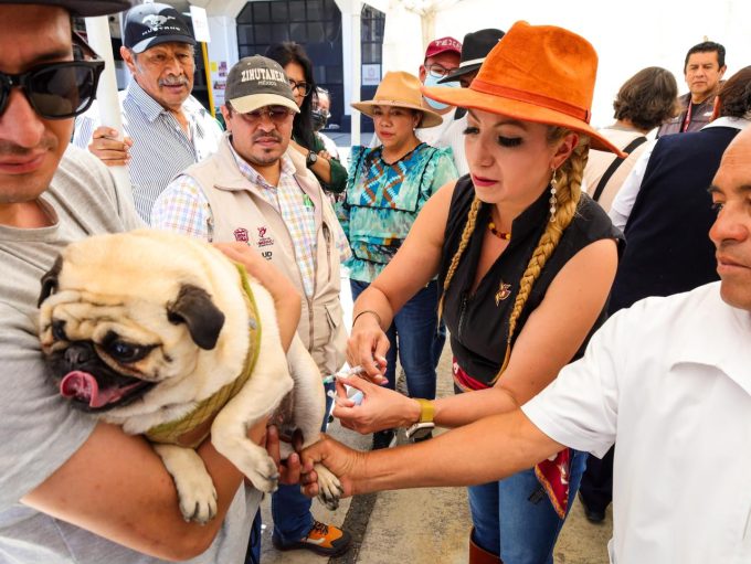 Arranca en Texcoco la Jornada Estatal de Vacunación Antirrábica Canina y Felina 2025