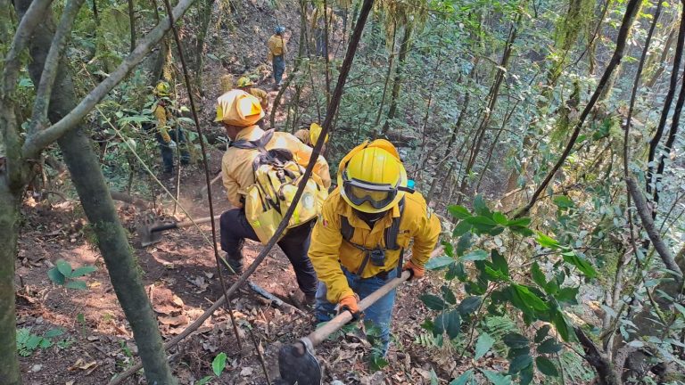 Registra EdoMéx menos del 1% del área forestal afectada en la temporada de incendios; la mayoría han sido en pastizales