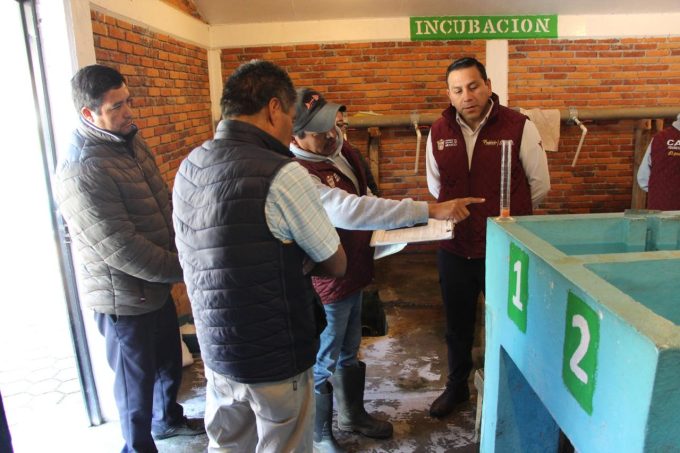 EdoMéx se pone trucha y entrega 14 mil huevos de pez arcoíris a productores