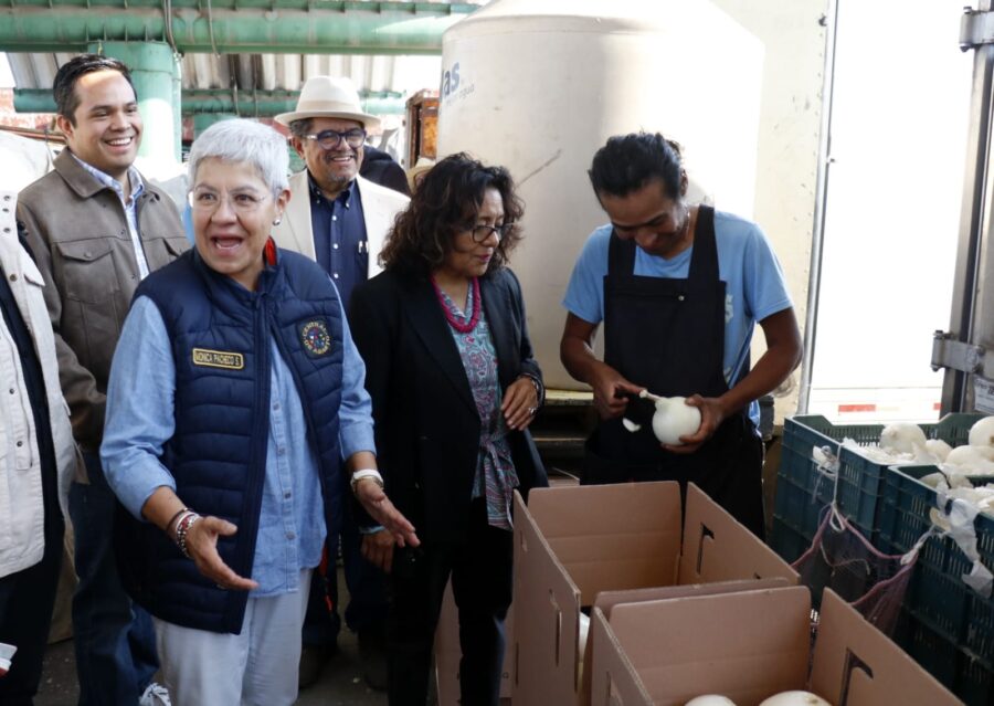 Visita de la secretaria de Trabajo y Fomento al Empleo a la Central de Abasto de la Ciudad de México