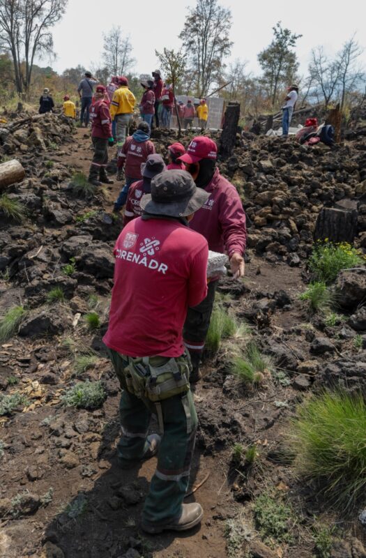 Realiza GOBCDMX operativo exitoso para la recuperación de 70 hectáreas de Suelo de Conservación en Tlalpan