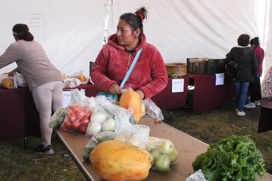 Las autoridades de la Ciudad de México, encabezadas por la jefa de Gobierno, Clara Brugada Molina, instalaron la Feria del Bienestar La Ciudad te Cuida y en Invierno te Cobija, en Topilejo, alcaldía Tlalpan, donde se reafirmó el compromiso de garantizar e