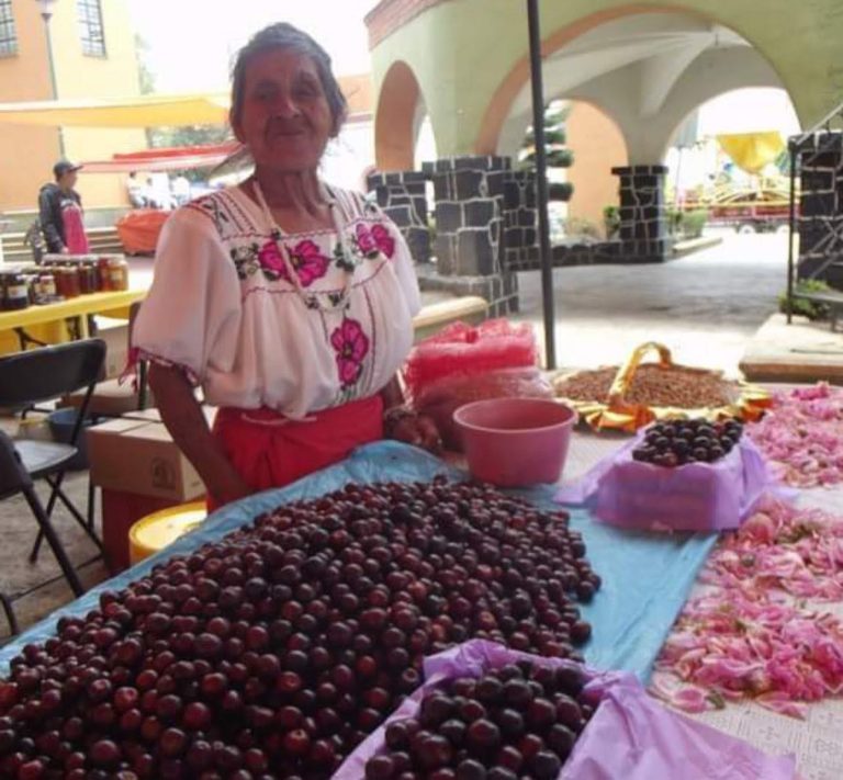 Este fin de semana arrancan las ferias del Capulín, San Isidro y el Festival de Carrera de Montaña y Trail en el EdoMéx