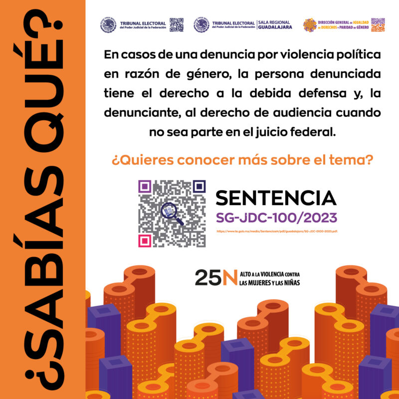 16 días de activismo contra la violencia de género Conoce más sobre los derechos de las personas denunciadas y las denunciantes en casos de violencia política en razón de género.