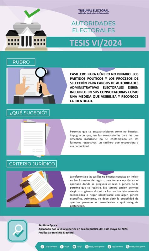Tesis VI/2024 Rubro: Un casillero para género no binario. Los partidos políticos y los procesos de selección para cargos de autoridades administrativas electorales deben incluirlo en sus convocatorias como una medida que visibiliza y reconoce la identidad.