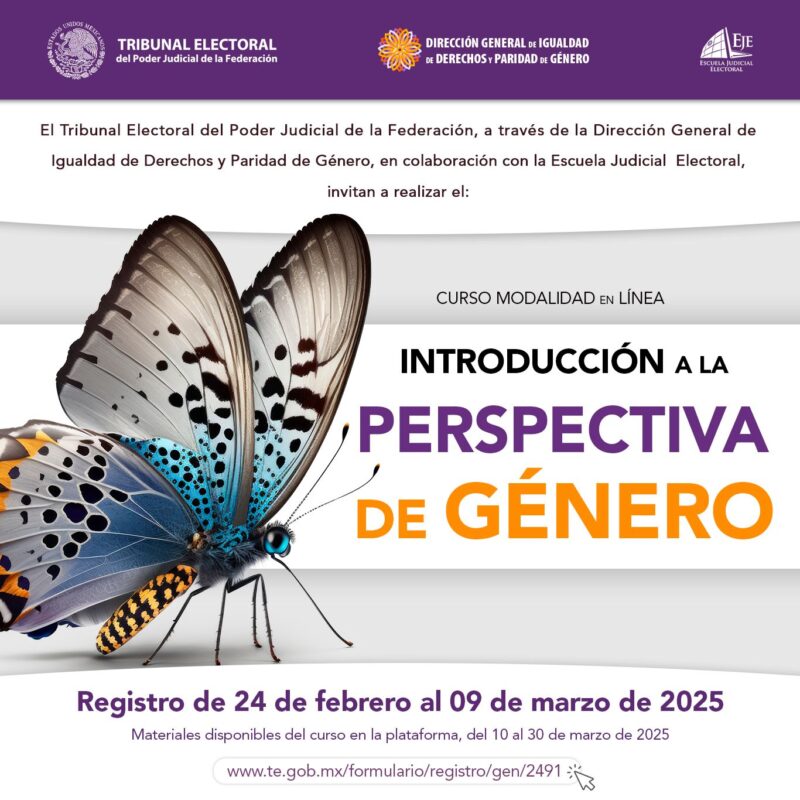 Participa en el "Curso: Introducción a la perspectiva de género", modalidad en línea.