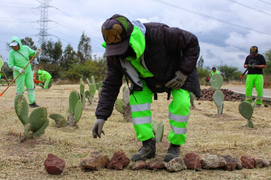 Brinda SOBSE mantenimiento integral al Parque Ecológico Cuitláhuac