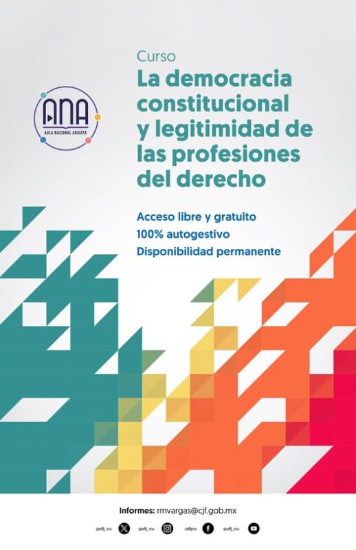 La democracia constitucional y legitimidad de las profesiones del derecho