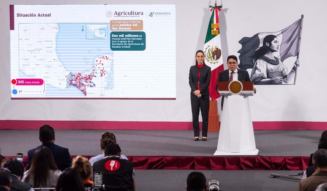 Emprende AGRICULTURA acciones para desactivar rápidamente foco de gusano barrenador del ganado en el norte de Veracruz