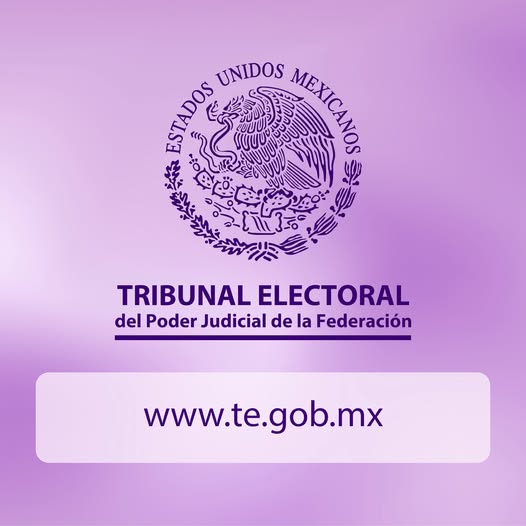 Tarjeta informativa:  https://www.te.gob.mx/front3/bulletins/detail/26396/0
