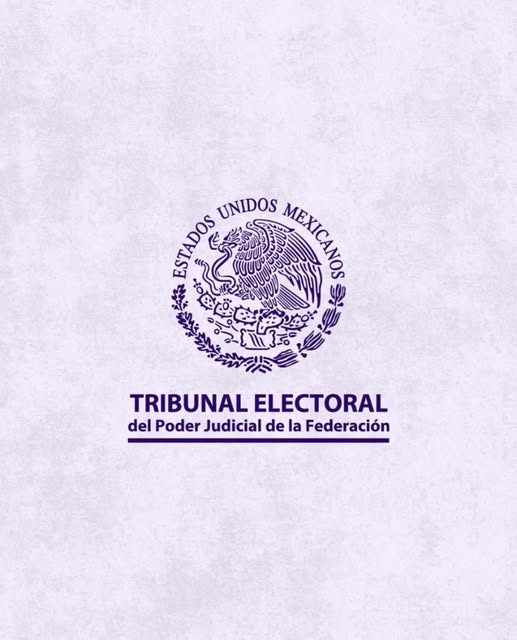 Tarjeta informativa:  https://www.te.gob.mx/front3/bulletins/detail/26395/0