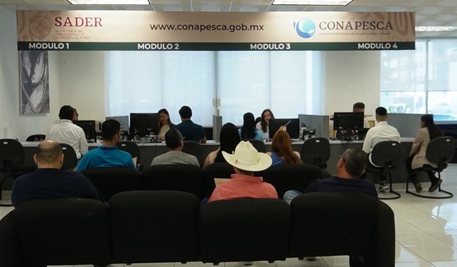 Menos burocracia en pesca y acuacultura: Conapesca continúa con la simplificación de trámites