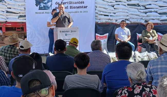 AGRICULTURA entrega más de 280 toneladas de Fertilizantes en Baja California para fortalecer la autosuficiencia y soberanía alimentaria