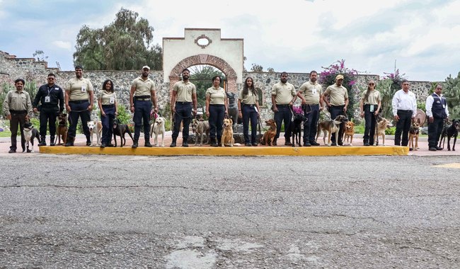 AGRICULTURA gradúa a 14 nuevos binomios caninos para prevenir plagas y enfermedades agropecuarias en México y Centroamérica