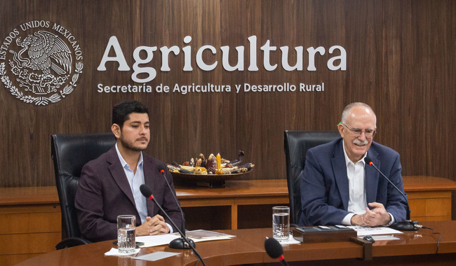 México refuerza acciones para proteger a las abejas y a la apicultura: AGRICULTURA