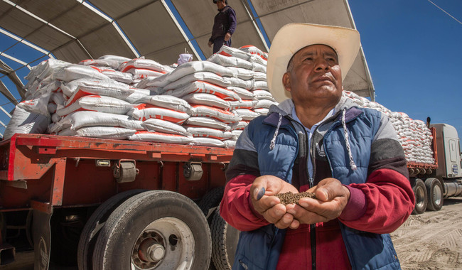 Abre AGRICULTURA convocatoria del programa Fertilizantes para el Bienestar en Baja California