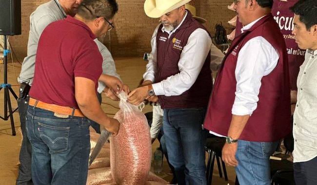 AGRICULTURA fortalece a productoras y productores de Durango con 63 mil kilos de semilla certificada de frijol