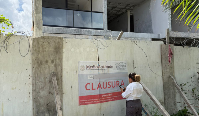 Profepa clausura dos desarrollos inmobiliarios en Cozumel, Quintana Roo