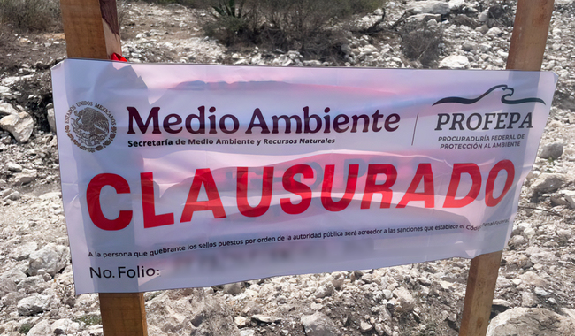 Profepa clausura obras de remoción de vegetación en terrenos de uso común del Ejido Corcovada, en SLP