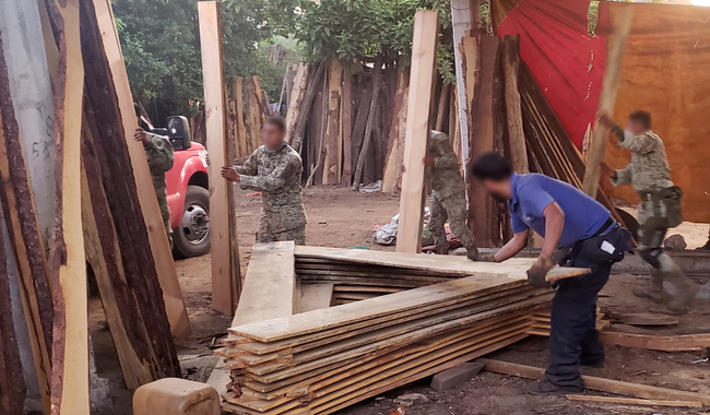 Profepa e instituciones de seguridad catean y desmantelan 3 aserraderos ilegales en Acaxochitlán, Hidalgo