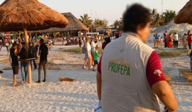 Operativos de Profepa en playas durante Semana Santa dejan 31 clausuras