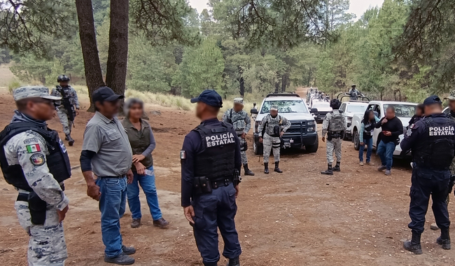 Profepa inhabilita 5 hornos para la elaboración de carbón vegetal en La Malinche