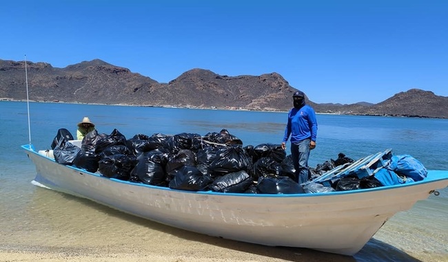 Conanp da resultados de la Estrategia Nacional Playas y Costas Limpias en el Noroeste y Alto Golfo de California